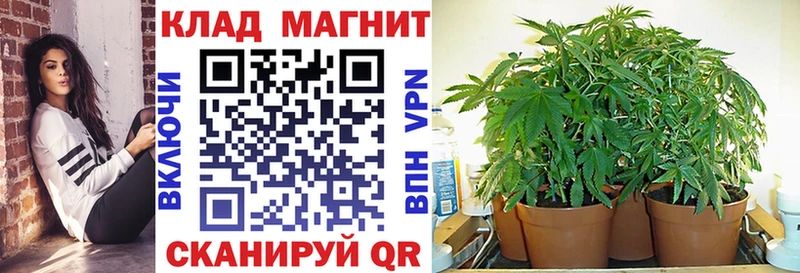 Наркошоп Белогорск COCAIN Гашиш Alpha-PVP Псилоцибиновые грибы Бошки Шишки АМФЕТАМИН