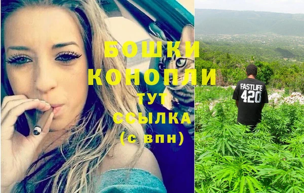 ПСИЛОЦИБИНОВЫЕ ГРИБЫ Балабаново