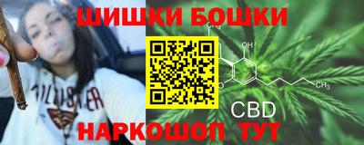 сатива Бердск