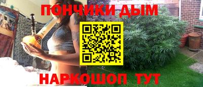 сатива Бердск