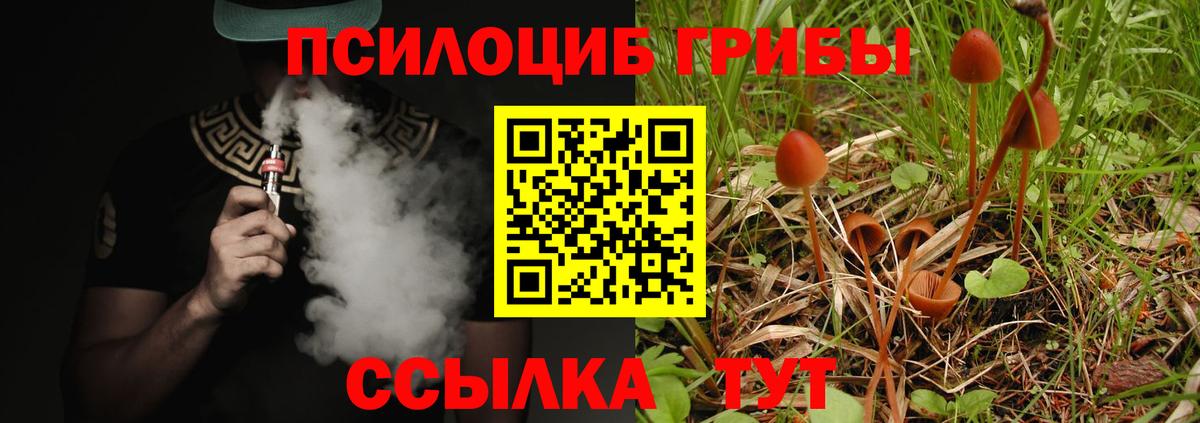 Белогорск  Псилоцибиновые грибы MAGIC MUSHROOMS  Вход с VPN 